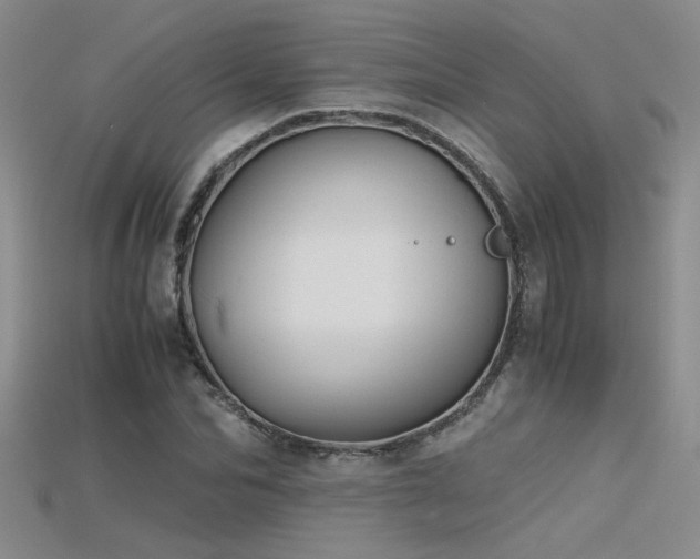 X0000115680974200911121242