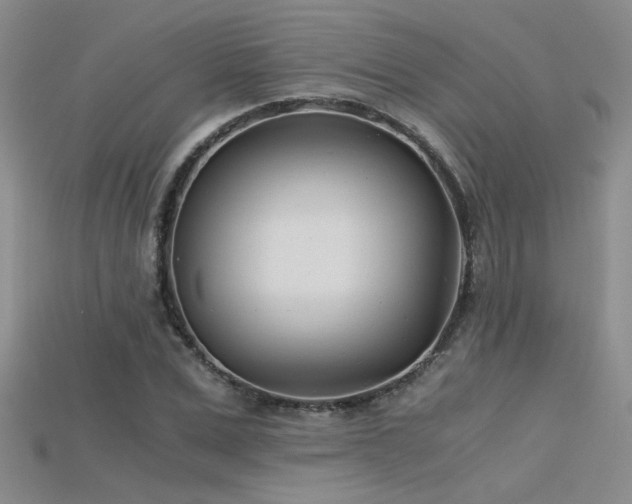 X0000115680975200911121242