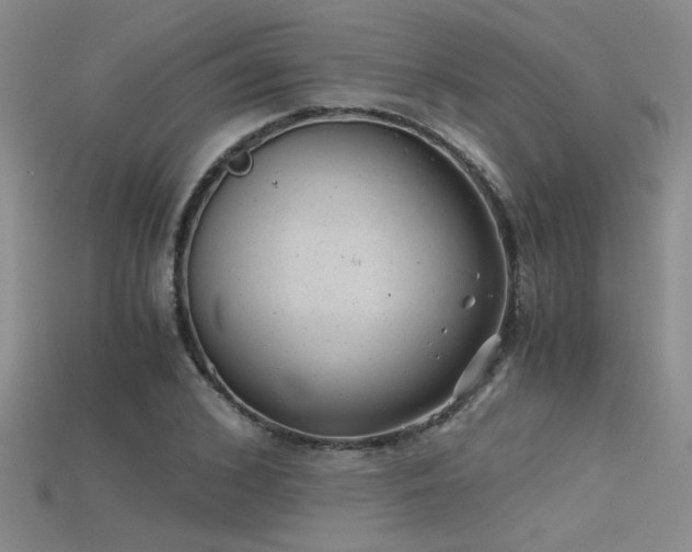 X0000115680976200911121242