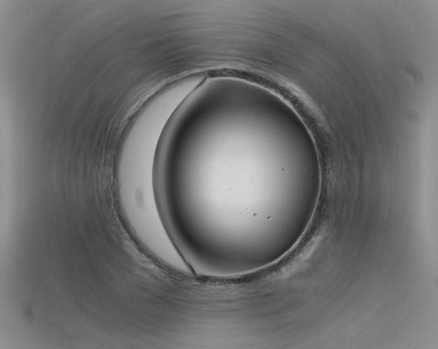 X0000115680977200911121242