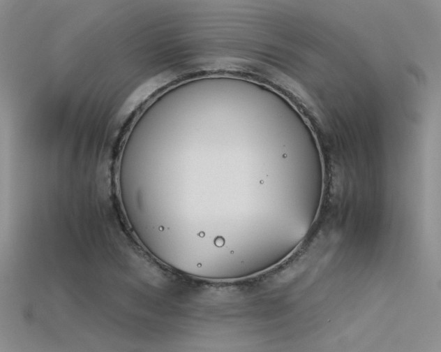 X0000115680978200911121242