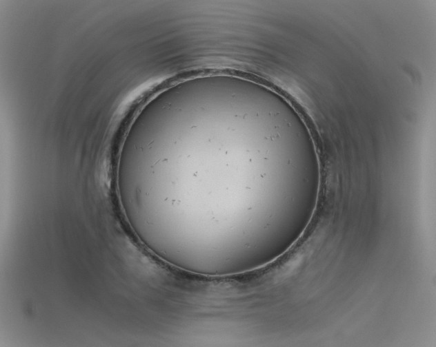 X0000115680979200911121242