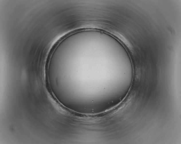 X0000115680980200911121242