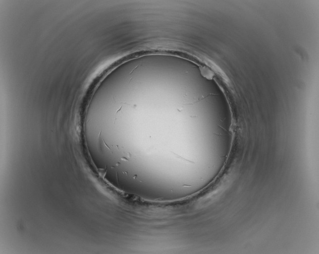 X0000115680981200911121242