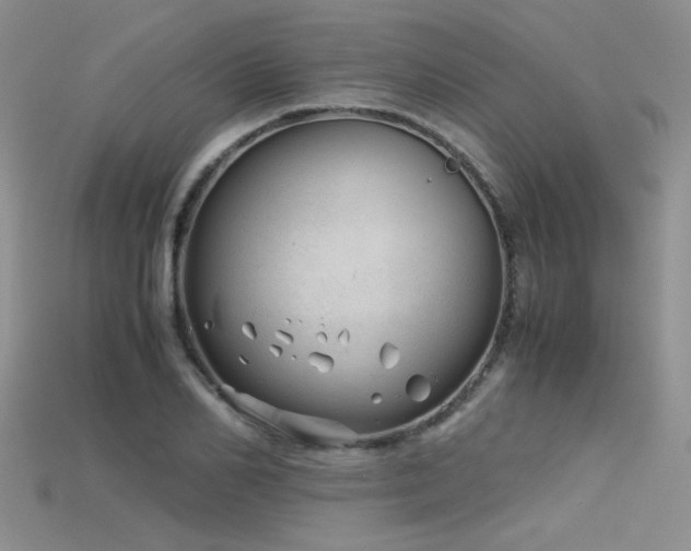 X0000115680982200911121242