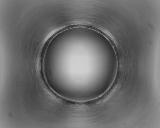 X0000115680983200911121242