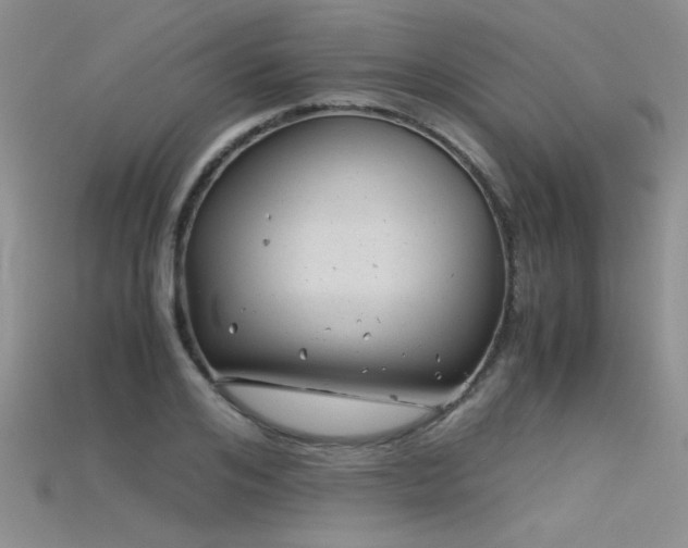 X0000115680984200911121242