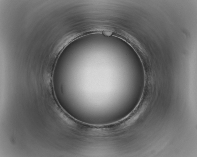 X0000115680985200911121242