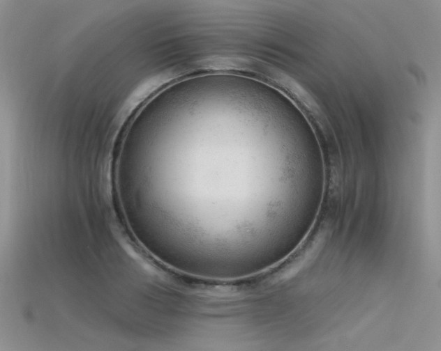 X0000115680986200911121242