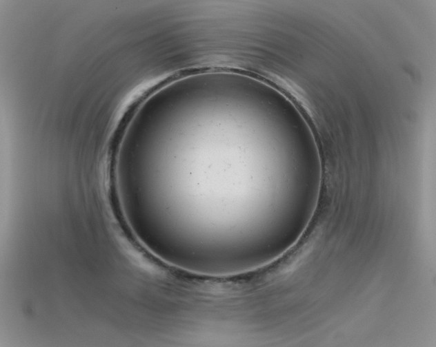 X0000115680987200911121242