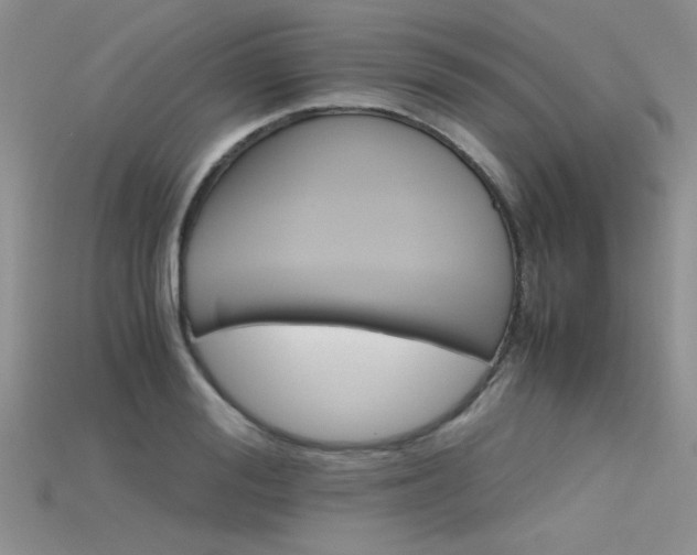 X0000115680988200911121242