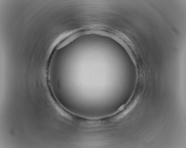 X0000115680989200911121242