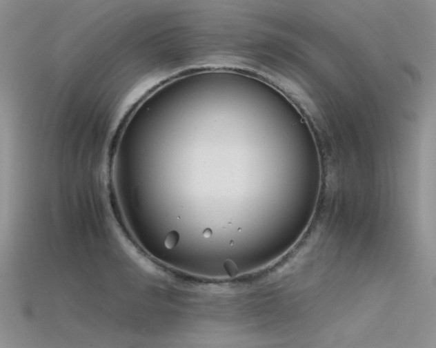 X0000115680990200911121242