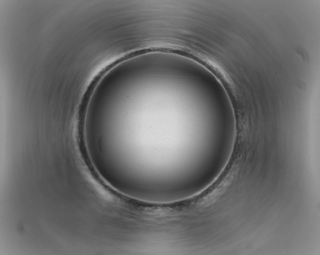 X0000115680991200911121242