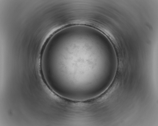 X0000115680992200911121242