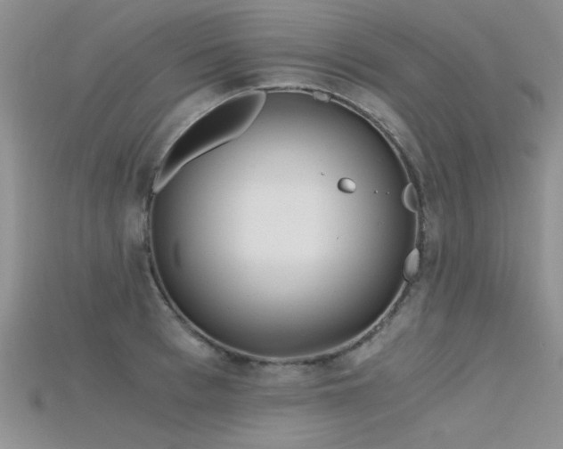 X0000115680993200911121242