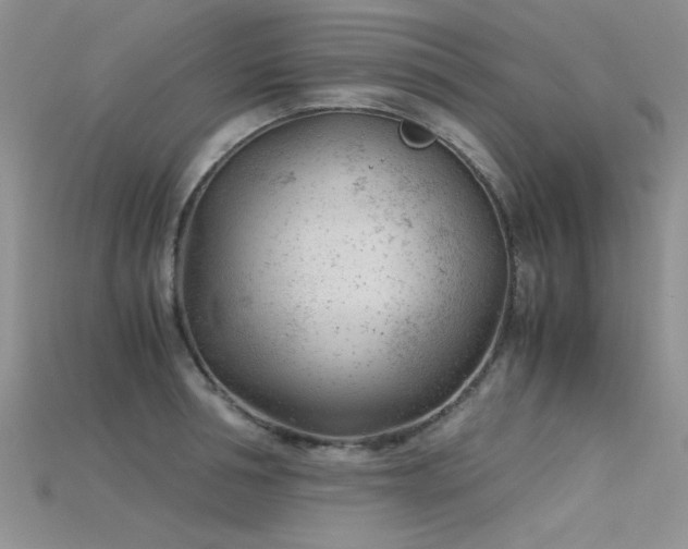 X0000115680994200911121242