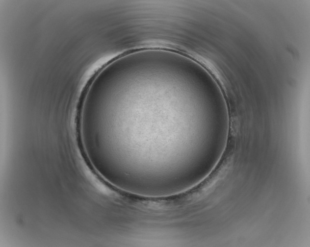 X0000115680995200911121242