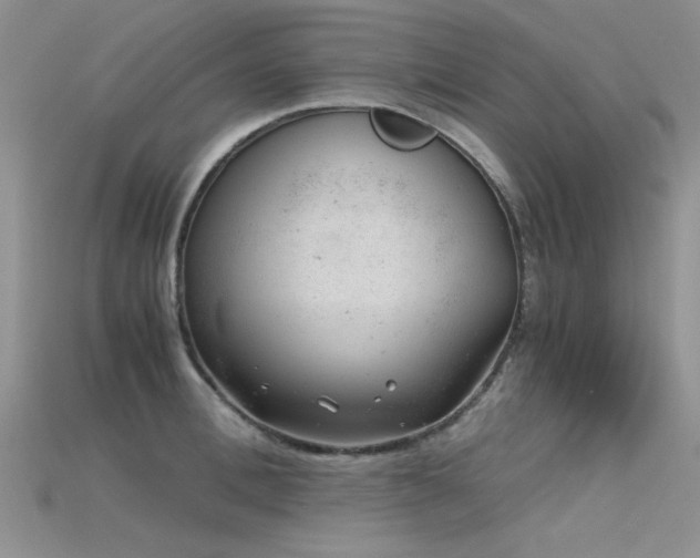 X0000115680996200911121242