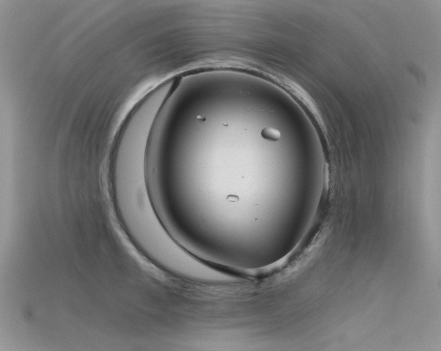 X0000115680997200911121242