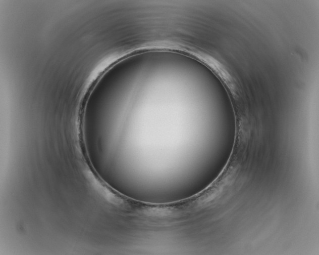 X0000115680998200911121242