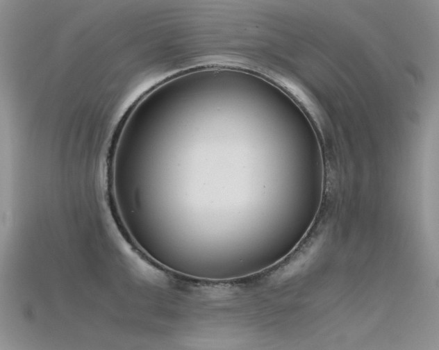 X0000115680999200911121242