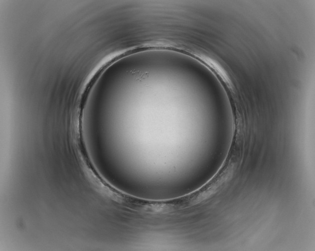 X0000115681000200911121242