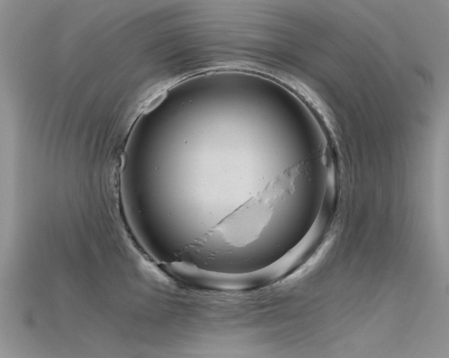 X0000115681001200911121242