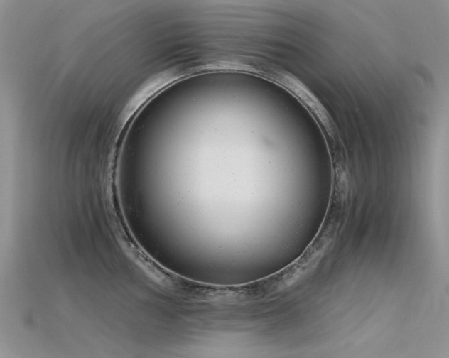 X0000115681002200911121242