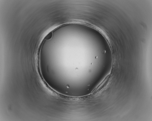 X0000115681003200911121242