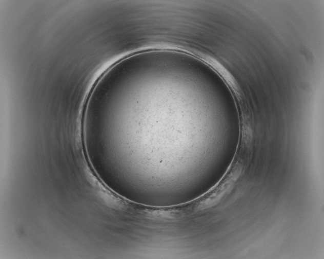 X0000115681004200911121242