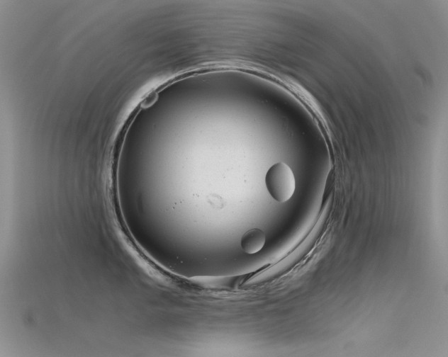 X0000115681005200911121242