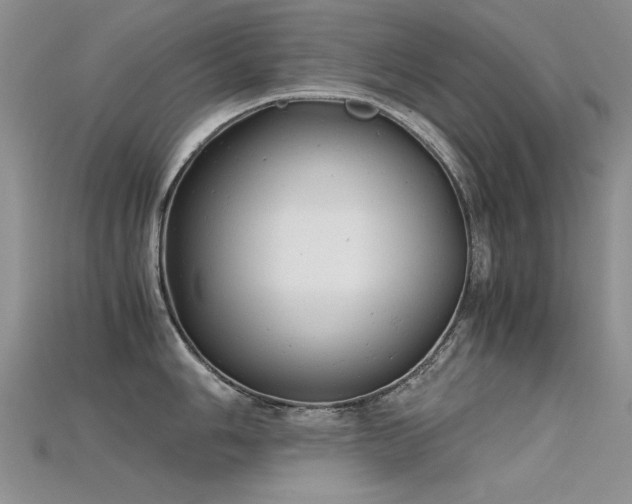 X0000115681006200911121242