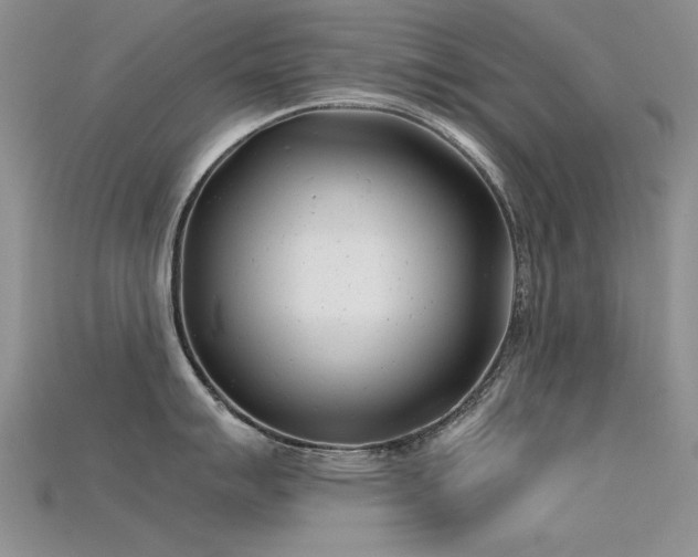 X0000115681007200911121242