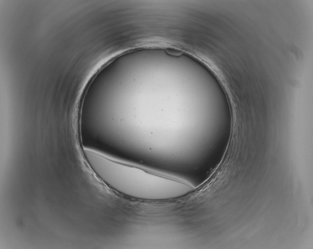 X0000115681008200911121242