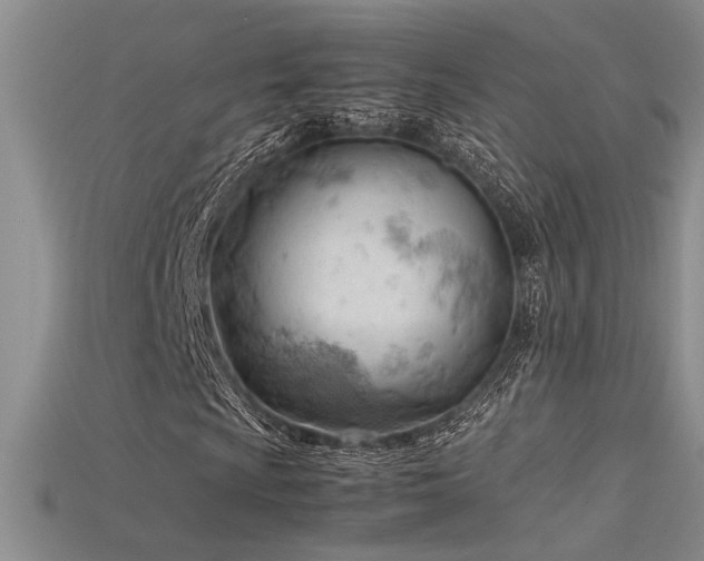 X0000115681009200911121241