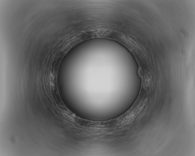 X0000115681010200911121241