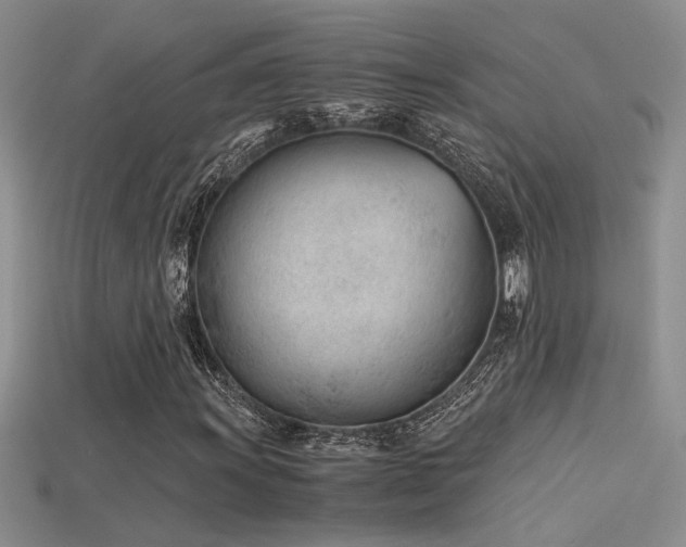 X0000115681011200911121241