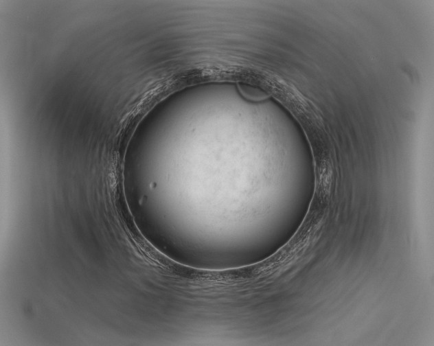 X0000115681012200911121241