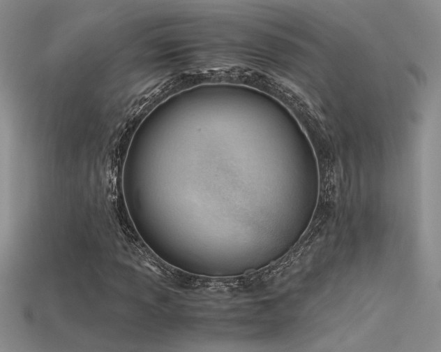 X0000115681013200911121241