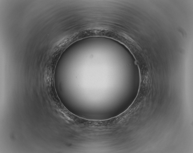 X0000115681014200911121241