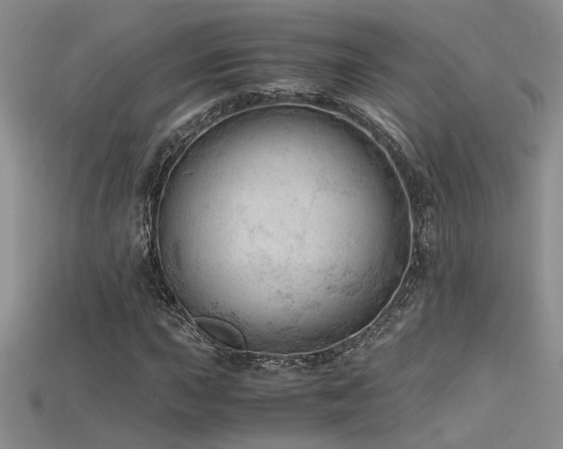 X0000115681015200911121241