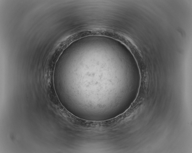 X0000115681016200911121241