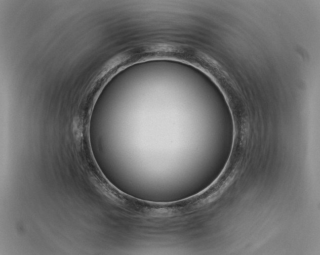 X0000115681017200911121241