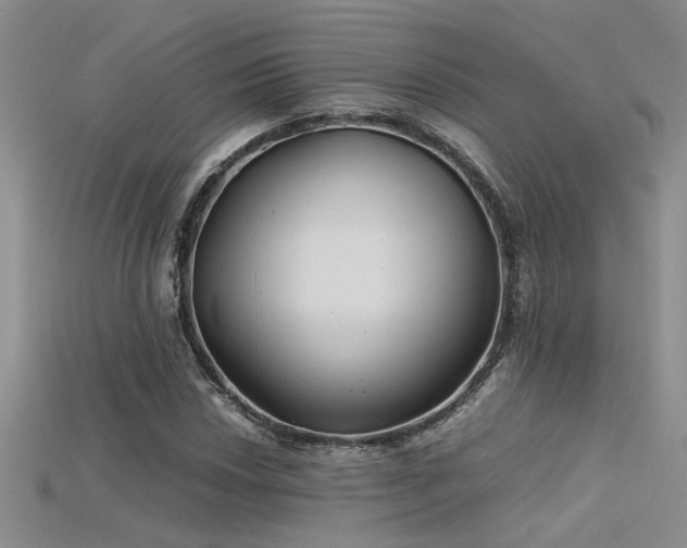 X0000115681018200911121241