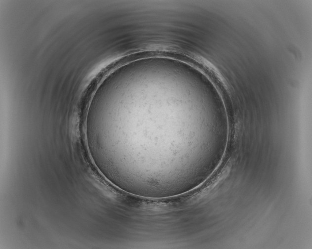 X0000115681019200911121241