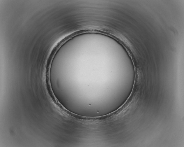 X0000115681020200911121241