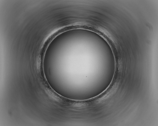 X0000115681021200911121241