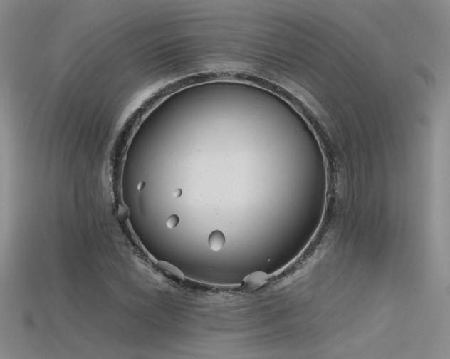 X0000115681022200911121241