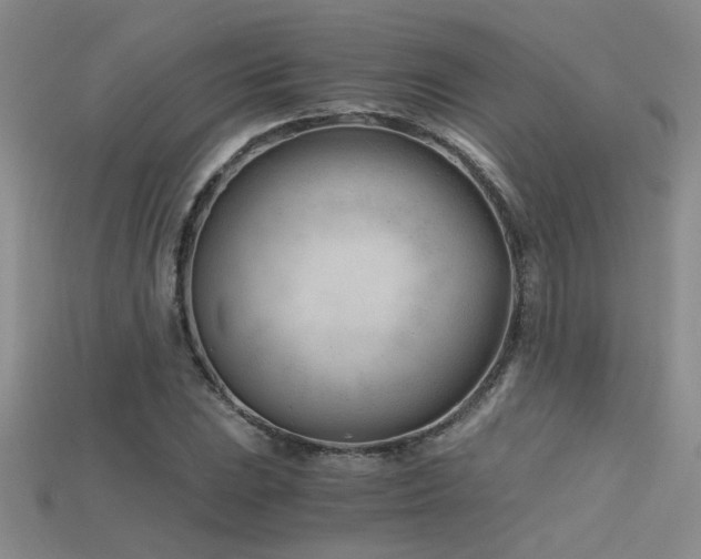 X0000115681023200911121241